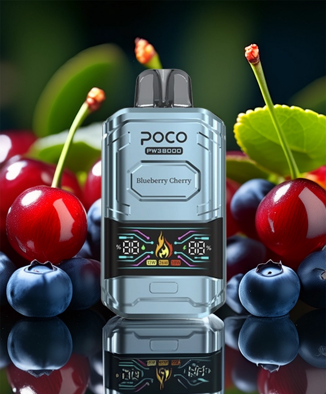 Poco PW 38000 – Blueberry Cherry 5%
